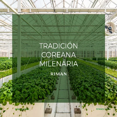 Skincare coreano en México tradición milenaria RIMAN